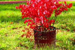 Стандартпарк предлагает Защита кустов и деревьев (упаковка 4 штуки), рис. 1