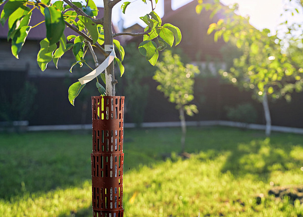 Защита кустов и деревьев (упаковка 4 штуки), рис. 2