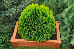 Стандартпарк предлагает Пластиковый бордюр для грядок и клумб "Садовая доска плюс", рис. 3