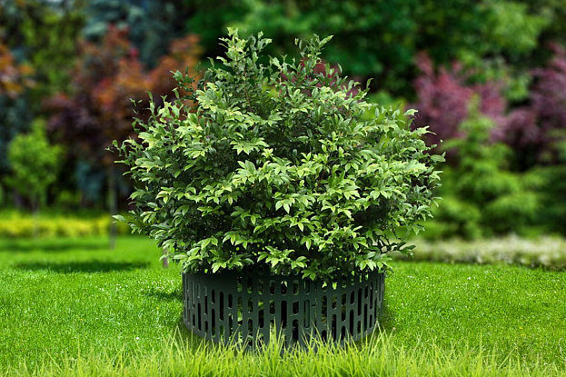 Защита кустов и деревьев (упаковка 4 штуки), рис. 2