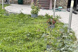 Стандартпарк предлагает Защита кустов и деревьев серая (упаковка 10 штук), рис. 2