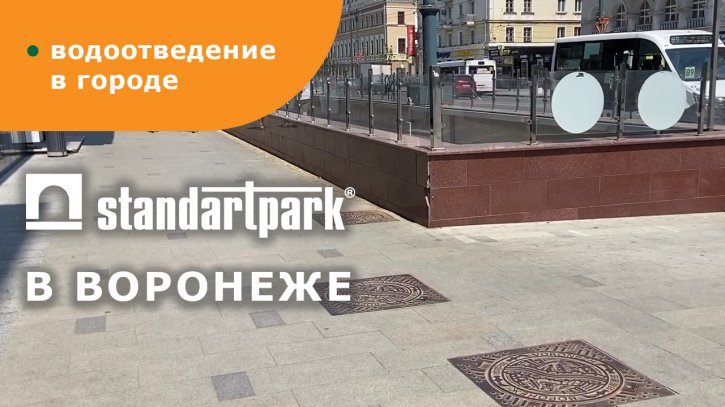 Стадион гимназии, Воронеж